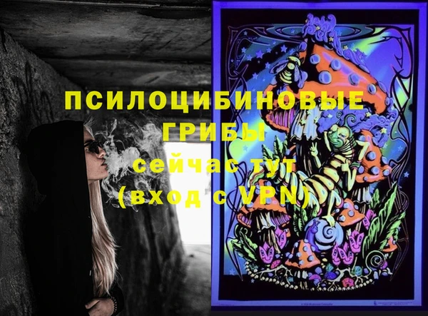 apvp Верхний Тагил